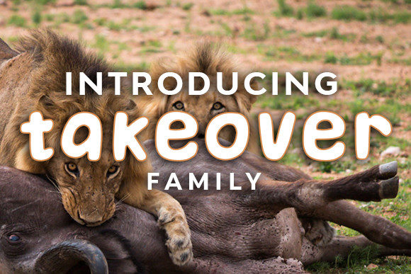 Takeover: A Display Font That Grabs Attention—Fast